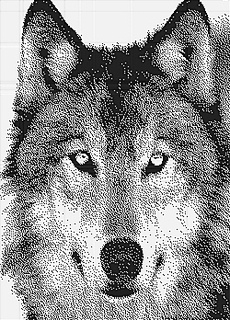 Husky250x348_klein_small2