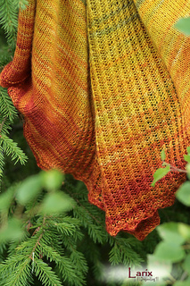 Larix01_small2