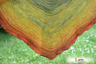 Larix02_small2