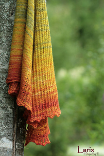 Larix07_small2