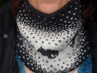 Yuma4ply03_small2