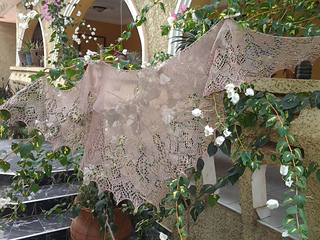 20130106_121737_small2