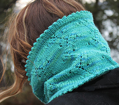 Img_5406_dkback_close_small_small