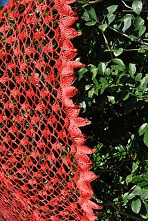 Dsc_0236_small2