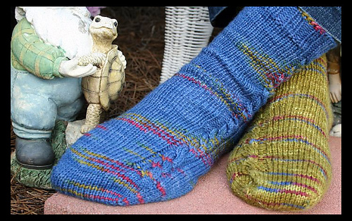 Socks_on_a_plane1_medium