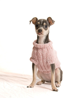 Pi-chi-sweater_6973-web_small2
