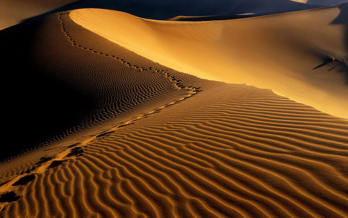 Desert_sand_vista_background_medium
