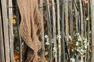 Selva_fence_small2