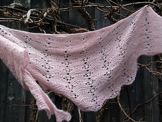 Foto0309_small2