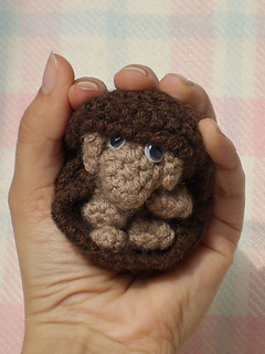 Brown5_small2