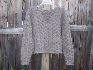 100_0487_small2