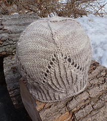 March14_wildl5_small