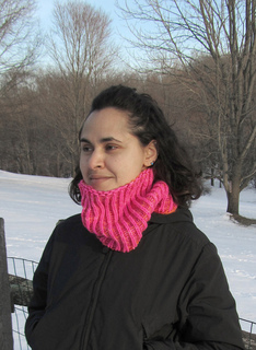 Electric_reversible_shaker_cowl_pic1_small2