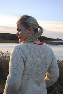 _dsc0226_liten_small2