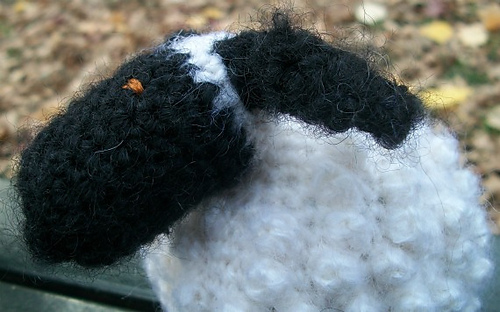 Chubby_sheep_close_up_profile_medium