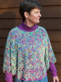 Poncho_on_small2