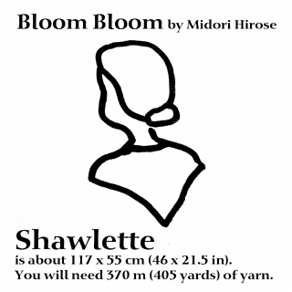 Shawlette_small2