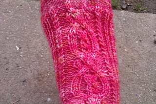 Imag0888_small2