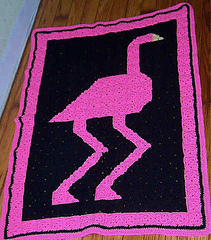 Flamingo_small