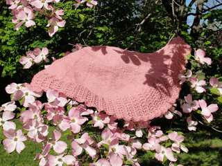 Pinkshawl_small2