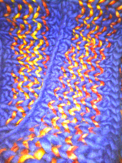 Cimg0004_small2