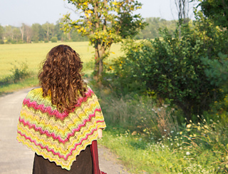 Noro_field_med_small2