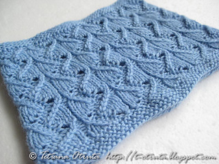 _img_2984_willowcowl_small2