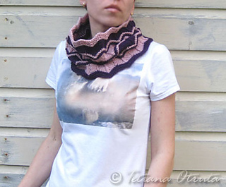 _img_5383_2chevroncowl_small_small2
