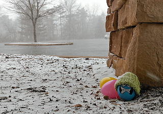 Imag5680snowbunnyeggs_small2