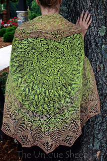 Willows__2__small2