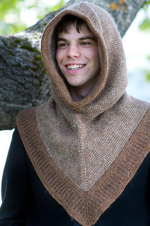 Robin_s_hood_3_small2
