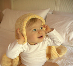 Daisy_2499_small