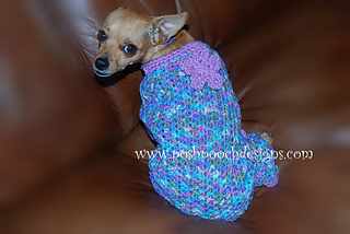 Dsc_0087_rosie_small2