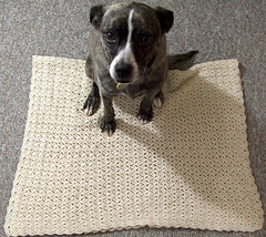 Winter-white-afghan-lg_small