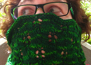 Fern_front_on_tood6_small2