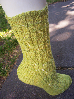 Verdsockalterncover_small2