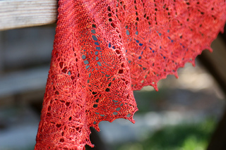 Persimmonshawlhanging_small2