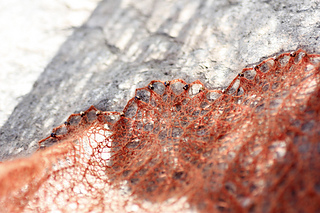 Beads_small2