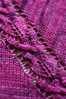 Shawlspine_small2