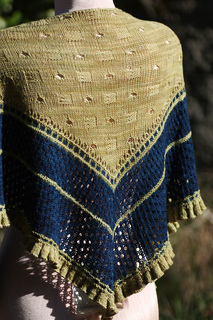 Poly_cover_small2