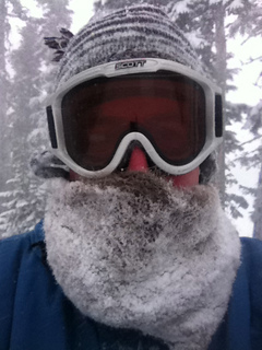 Cowlinwinter_small2