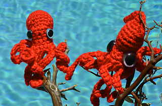 Babyoctosquidpreview_small2