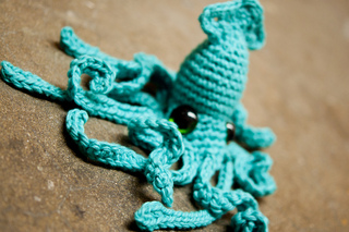 Cotton_squid_7_small2