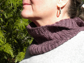 Aerie-1a_small2