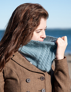 Samplercowl4_small2
