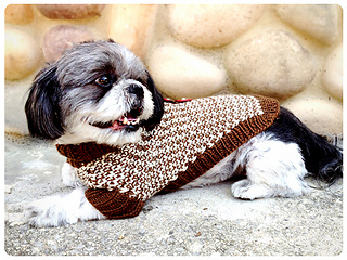 Tweedledee_main_shiri_designs_small2
