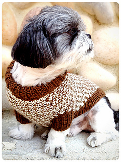 Tweedledee_front_shiri_designs_small2