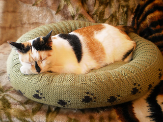 Dog_cat_bed_shiri_designs_02_11_main_small2