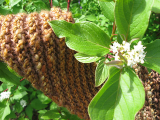 Diagonal_autumn_gold_2_small2