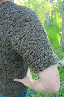 V-neck_shoulder_img_8535_small2